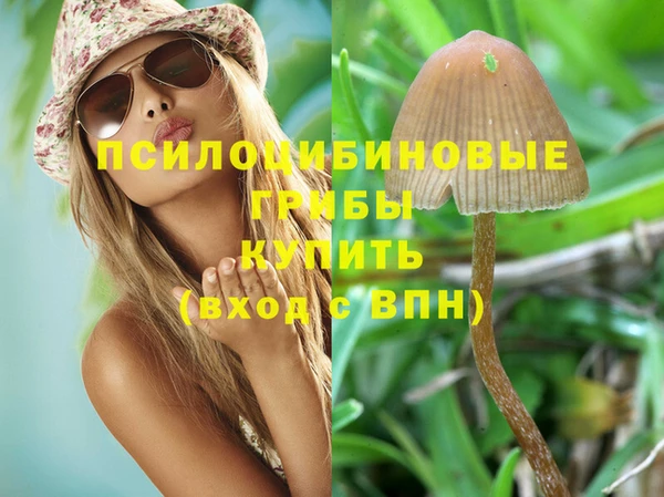 метадон Абаза