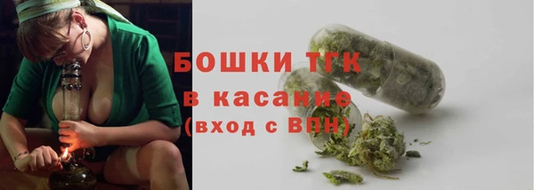 гашик Новозыбков