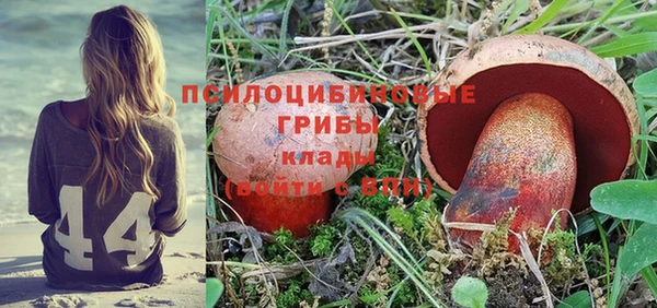 эйфоретик Алексин