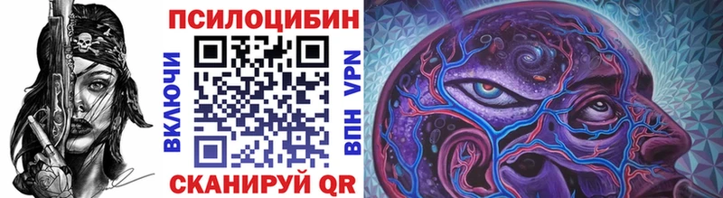 сколько стоит  Каменногорск  Псилоцибиновые грибы Psilocybe 