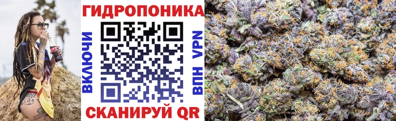 Конопля семена где найти наркотики ОМГ ОМГ маркетплейс Каменногорск